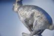 A Pair of Sterling Silver Hare Salt & Pepper Shakers