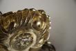 A Nuremberg Silver Wine Taster 17th Century: c1650