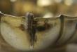 A Nuremberg Silver Wine Taster 17th Century: c1650