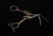 A Pair of Georgian Silver Stork Ribbon Pullers