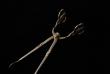 A pair of Georg Jensen Silver Sugar Tongs 131