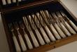 A Service of Silver and Mother of Pearl Fruit Cutlery