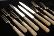 A Service of Silver and Mother of Pearl Fruit Cutlery