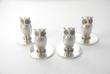 A Set of Edwardian Owl Menu Holders by Sampson Morden