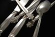 A Georg Jensen Sterling Silver Flatware set in the Acanthus Pattern